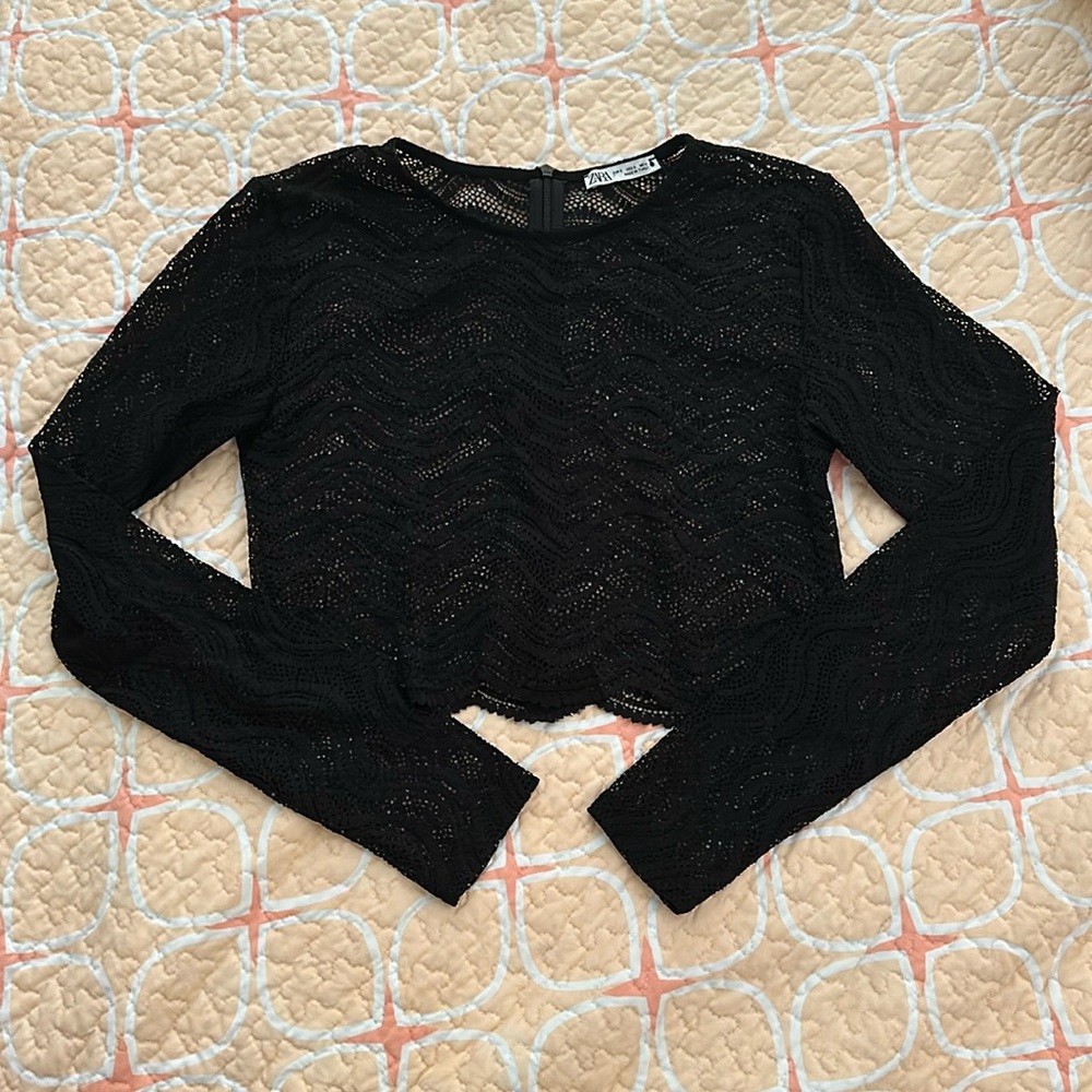 Zara Cutout/Mesh Style Long Sleeve Crop Top